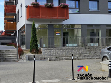 Lokal Zielona Góra