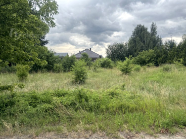 Działka budowlana Brużyczka Mała