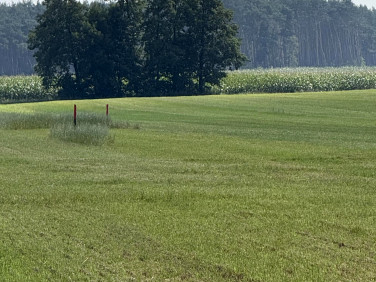 Działka budowlana Żabno sprzedam