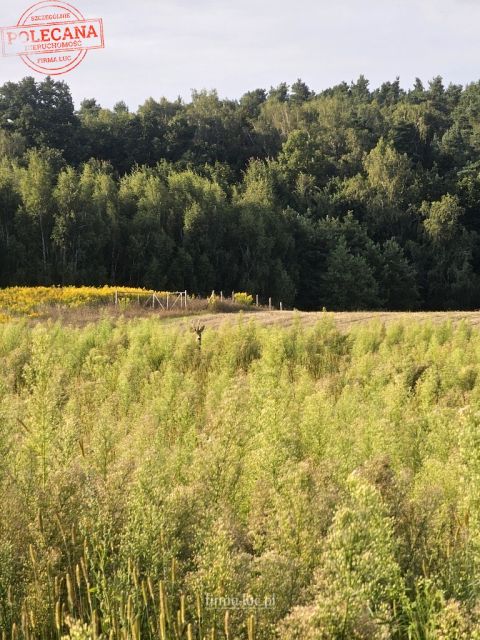 Działka budowlana Kłodawa