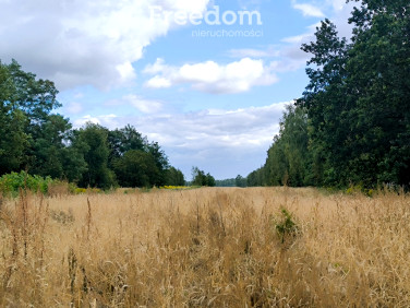 Działka budowlana Marków-Towarzystwo
