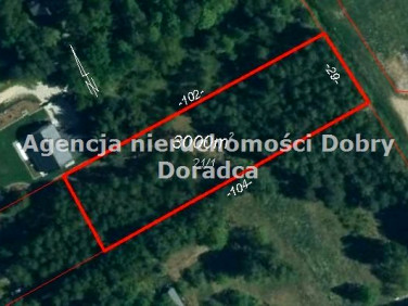 Działka Jastrzębnik