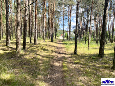 Działka Czersk