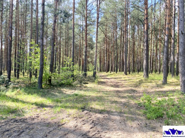 Działka Czersk
