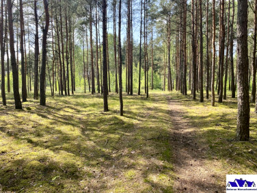 Działka Czersk
