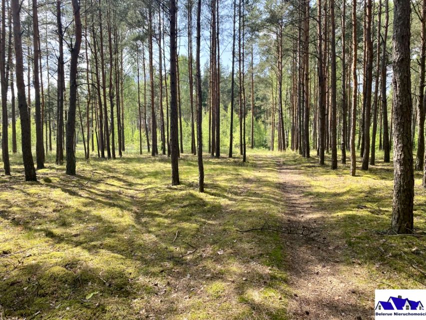 Działka Czersk