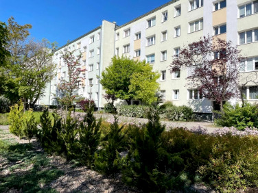 Mieszkanie Poznań sprzedaż