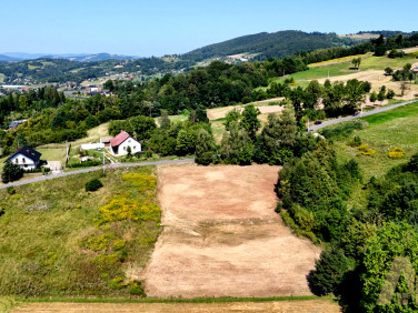 Działka Wielogłowy