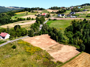 Działka Wielogłowy