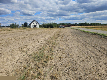 Działka budowlana Romanów