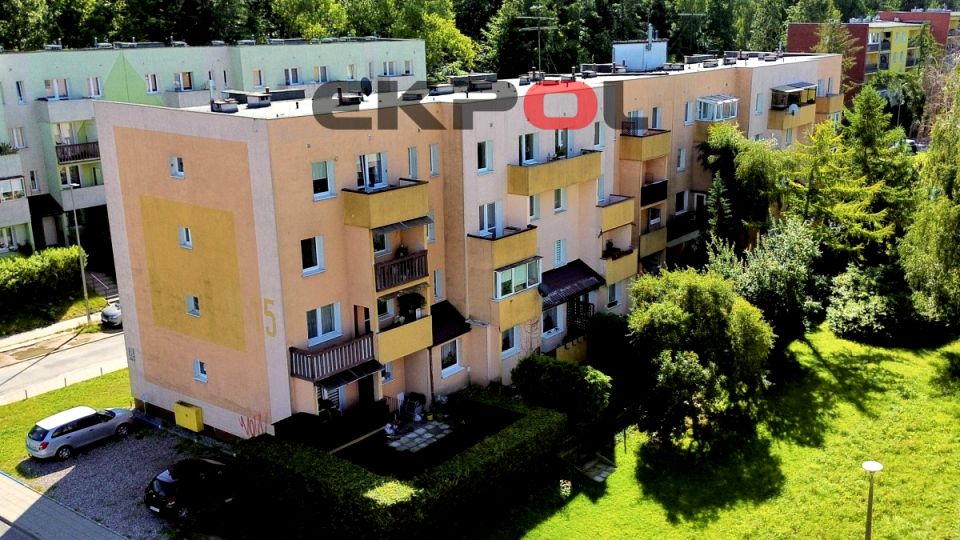 Mieszkanie przy lesie