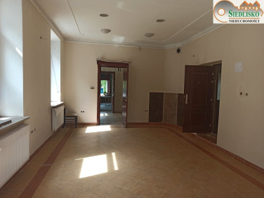 Lokal Kielce
