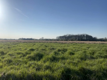 Działka budowlana Komorowice