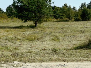 Działka Żołędowo