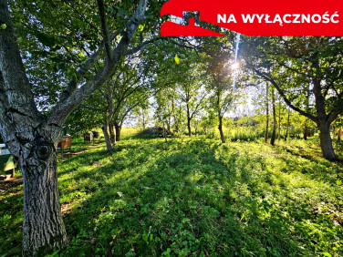 Działka rolna Smugi