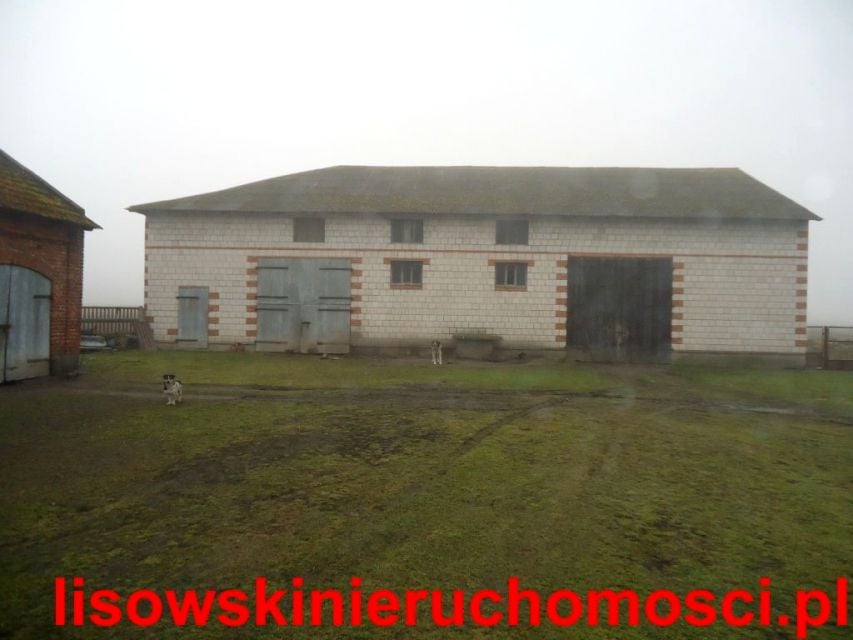 Zdjęcie 2