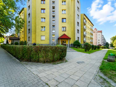 Mieszkanie Zabrze