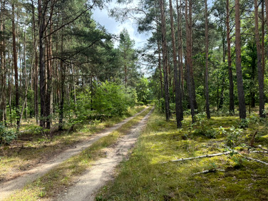 Działka rolna Nowa Paprocka Kolonia