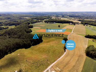 Działka przy lesie