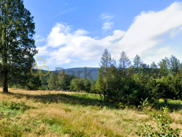 Działka budowlana Świeradów-Zdrój sprzedam