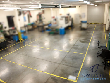 Lokal Świlcza wynajem