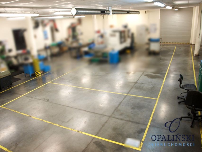 Lokal Świlcza wynajem