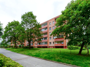 Mieszkanie Nowy Dwór Mazowiecki sprzedaż