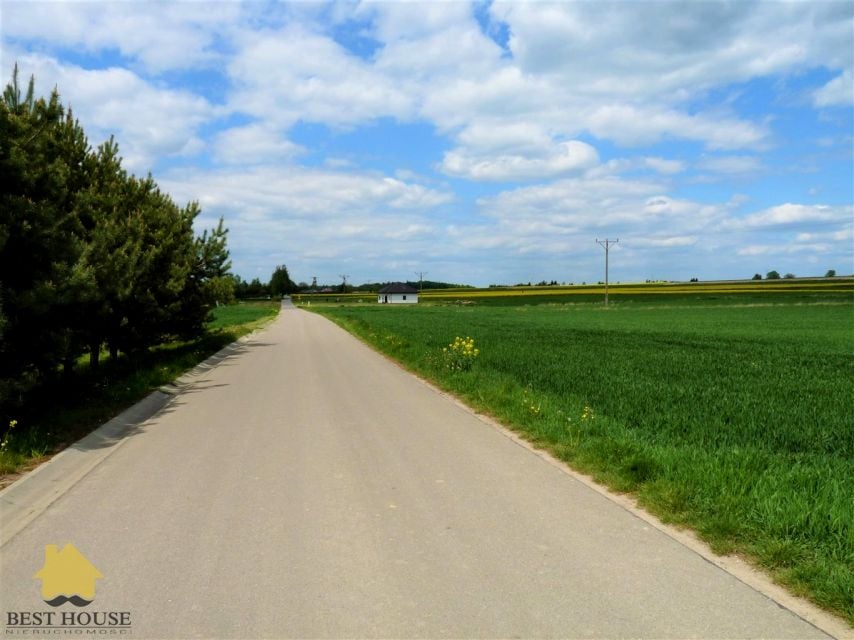 Zdjęcie 3
