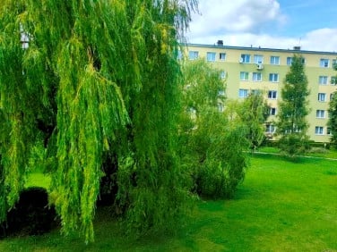 Mieszkanie Gorzów Wielkopolski