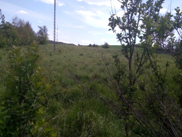 Działka budowlano-rolna Ugoszcz