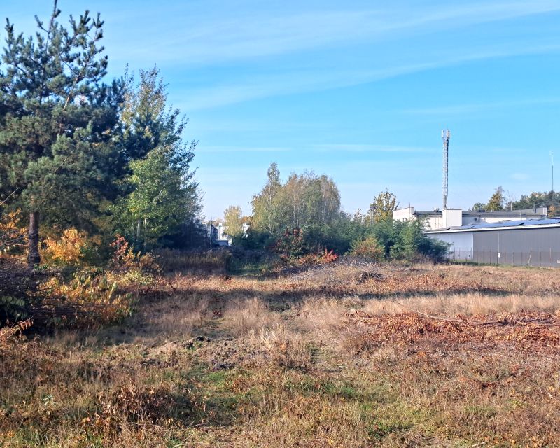 Działka usługowa Sulejówek