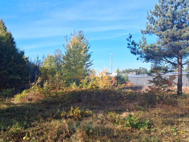 Działka usługowa Sulejówek sprzedam