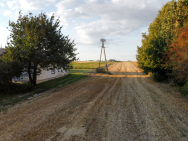 Działka budowlana Kliny sprzedam