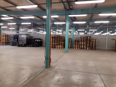 Lokal Sosnowiec