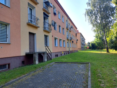 Lokal Dzierżoniów