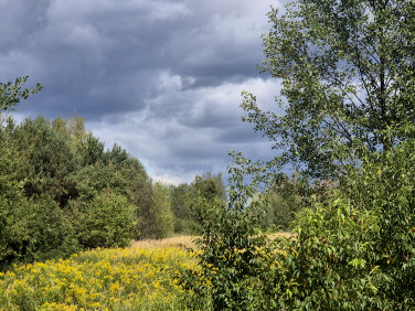 Działka Kaliszki