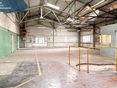 Budynek użytkowy Nisko