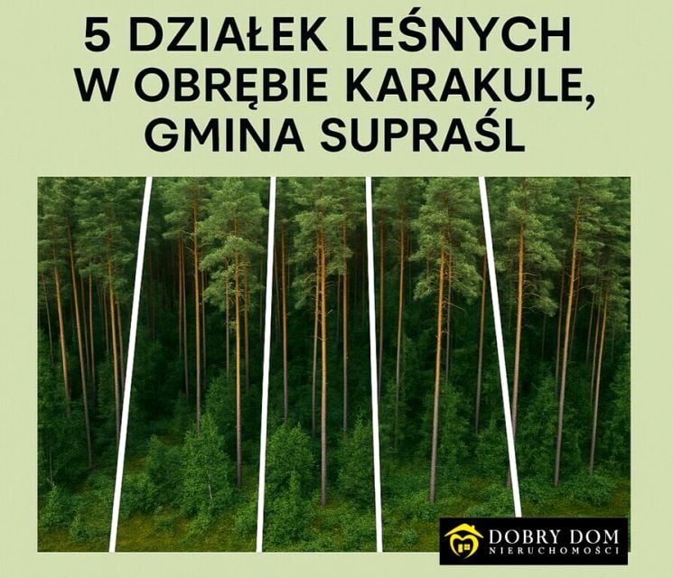 Działka leśna Karakule