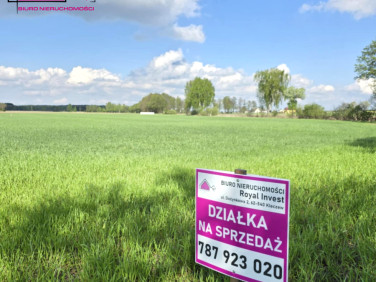 Działka rekreacyjna Skrzynka