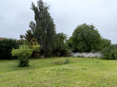 Działka budowlana Żary