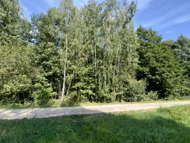 Działka Radonie