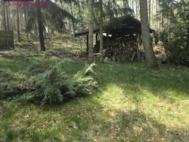 Działka rekreacyjna Smolniki Powidzkie
