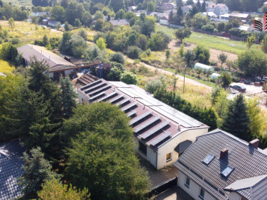 Lokal Lublin