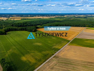 Działka rolna Lisewo