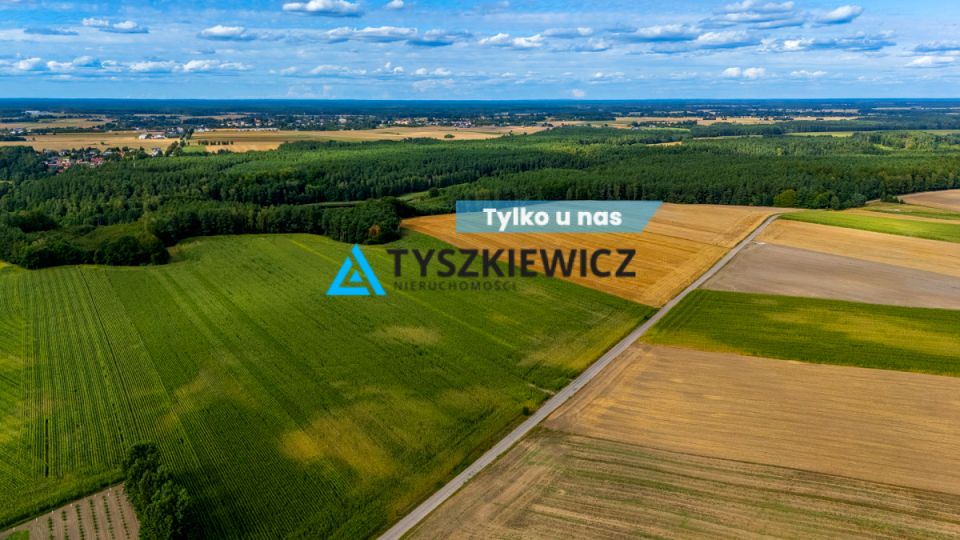 Działka rolna Lisewo