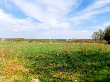 Działka budowlana Tomaszowice-Kolonia