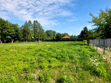 Działka inwestycyjna Łódź