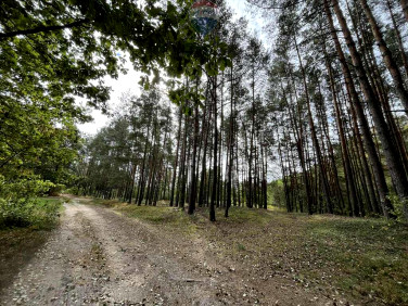 Działka rolna Pustelnik sprzedam