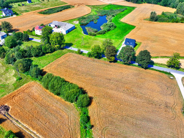 Działka przy lesie