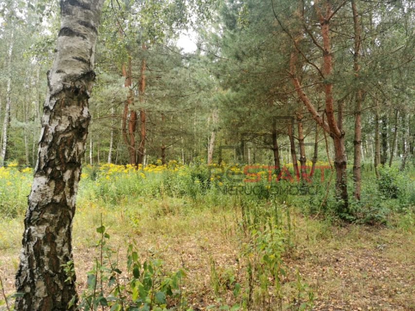 Działka budowlana Janinów